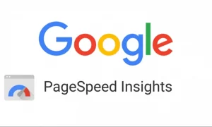 Tools Google PageSpeed Insight